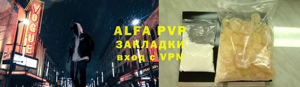 индика Медвежьегорск