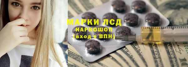 индика Медвежьегорск