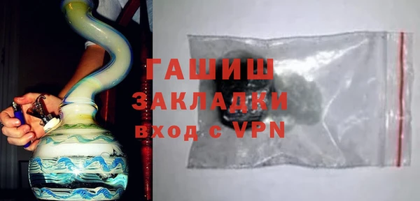 индика Медвежьегорск
