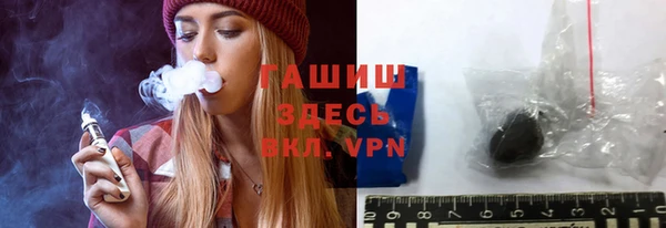 индика Медвежьегорск