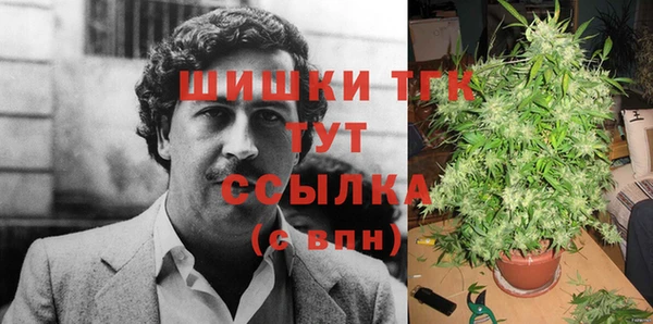 индика Медвежьегорск