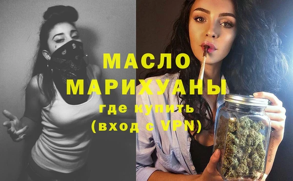 индика Медвежьегорск