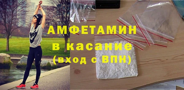 индика Медвежьегорск