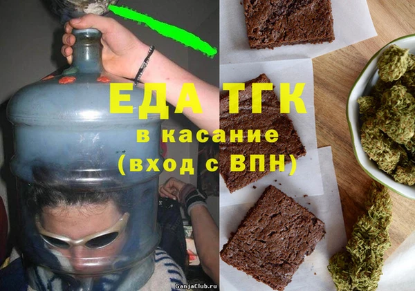 индика Медвежьегорск