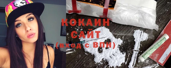 индика Медвежьегорск