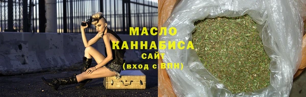 индика Медвежьегорск