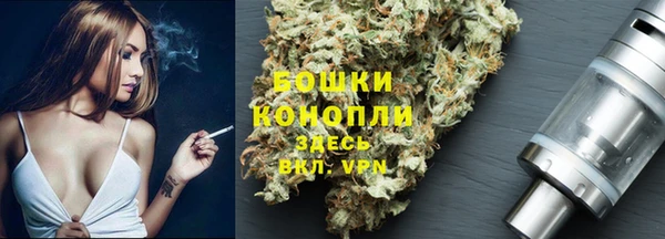 индика Медвежьегорск