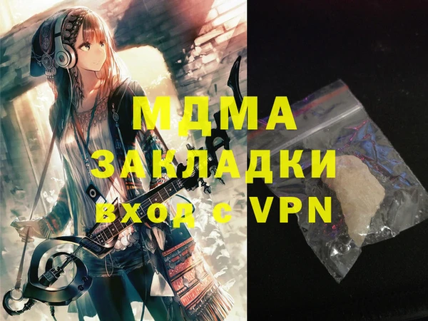 индика Медвежьегорск