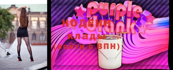 индика Медвежьегорск