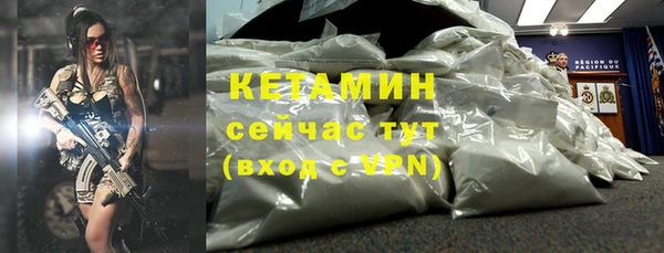 индика Медвежьегорск