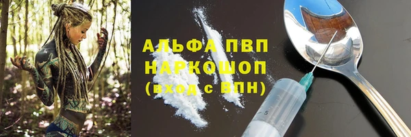 индика Медвежьегорск